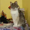 Отзыв от Ксения Федотова
